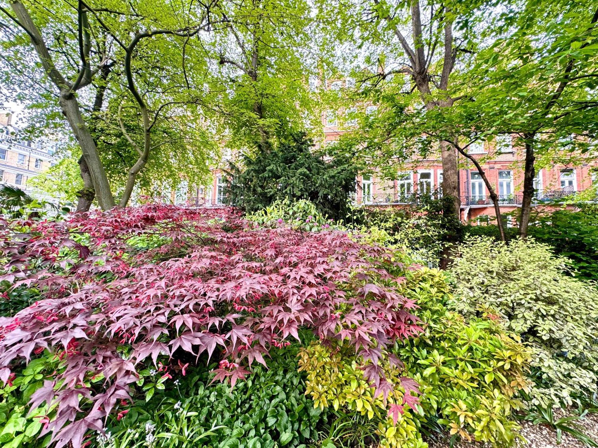 2 Bedroom Apartment In Central London South Kensington By Wild London Eksteriør billede